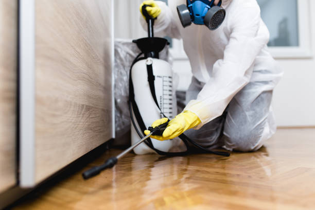 Best Residential Pest Control  in Tangelo Park, FL