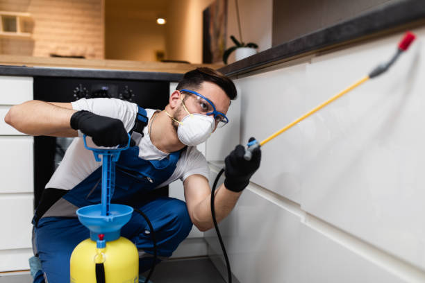 Best Commercial Pest Control Services  in Tangelo Park, FL