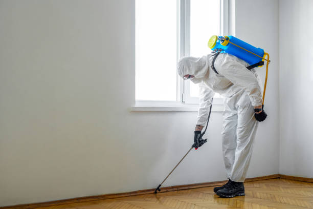 Best Pest Prevention Services  in Tangelo Park, FL